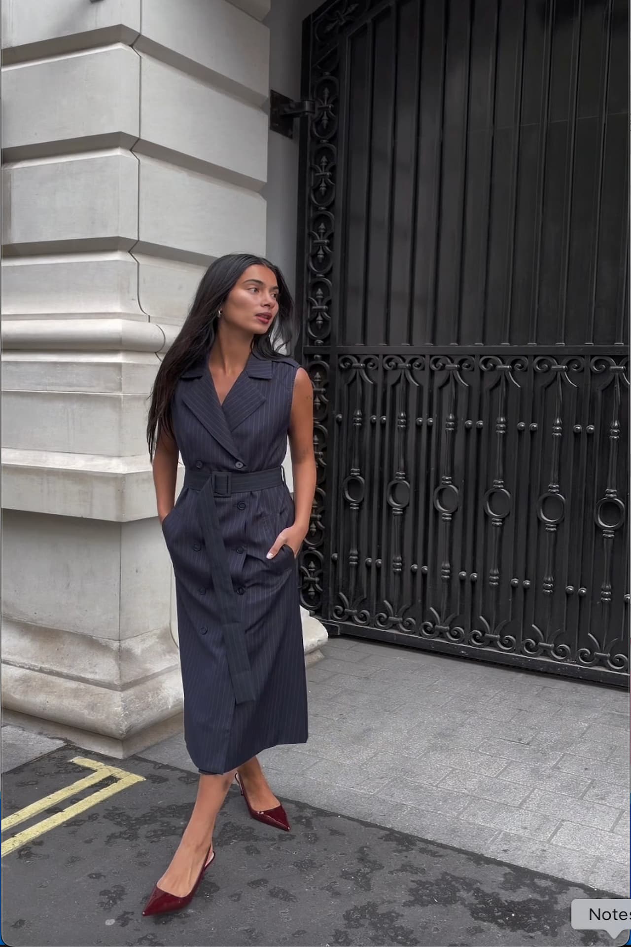 Sylvia Trench Dress