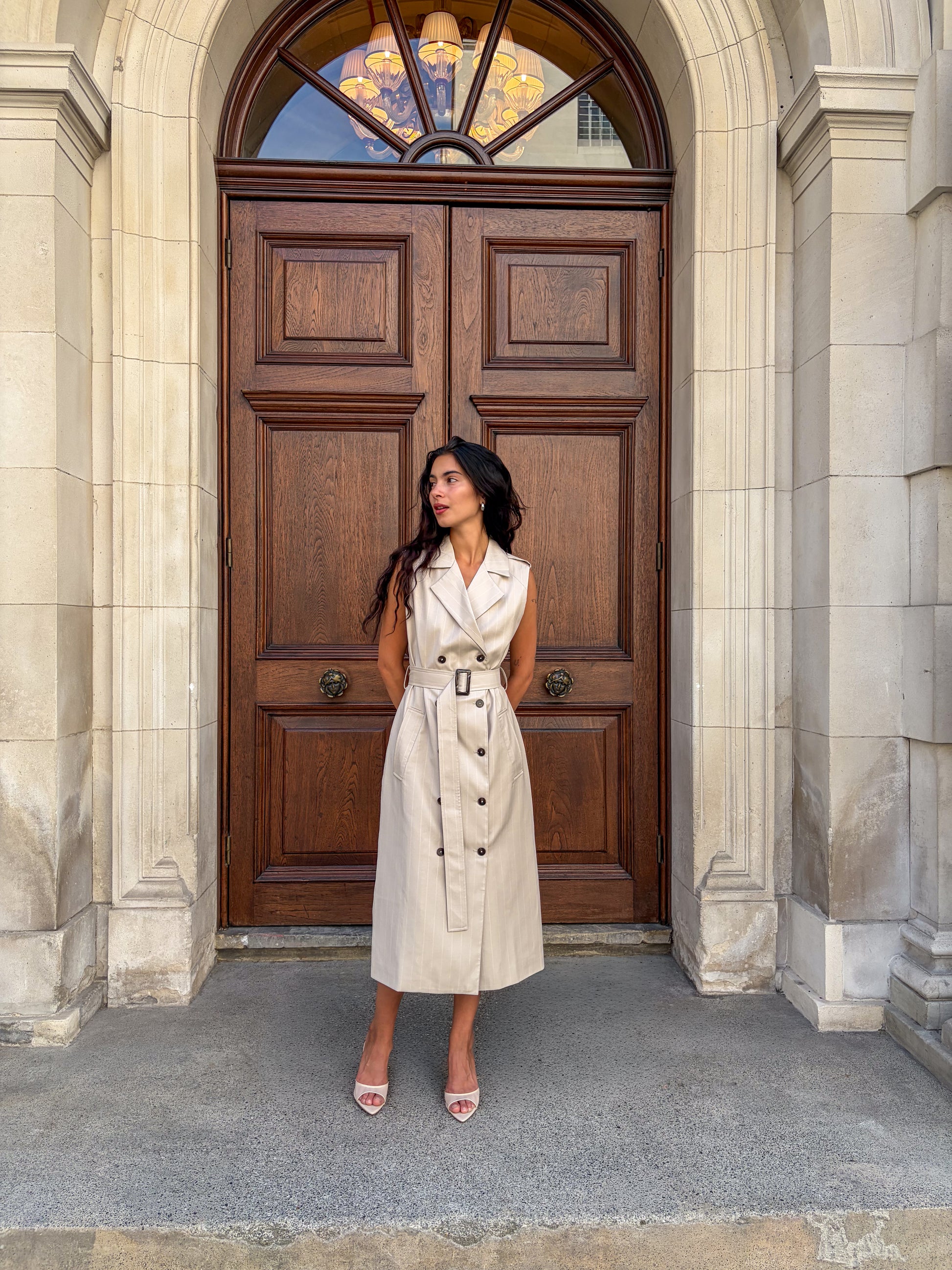 Sylvia Trench Dress